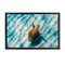 Stupell Industries Sandbar Sea Turtle Floater Framed Canvas Wall Art Design by Max Blakesberg Studios